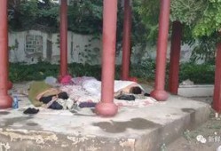 岗墩凉亭吃瓜,畅享清凉时光