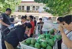 台儿庄吃瓜群众,吃瓜群众的视角，揭秘历史风云