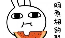 笑笑吃瓜方式,解锁夏日清凉新方式