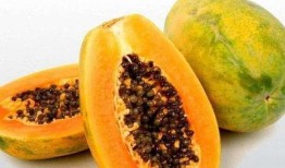 梦见吃坏了的瓜,瓜果之梦中的消化隐喻与心理启示