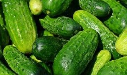 吃瓜找糖,吃瓜群众如何从纷繁杂事中找到甜蜜的糖分