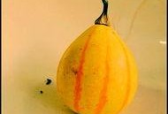 新沂吃瓜大白妈,大白妈的趣味生活点滴