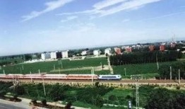 徐水安新吃瓜,揭秘娱乐圈最新热点事件