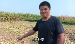 凋零吃瓜,探寻吃瓜背后的故事