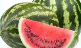 痛风可以吃交瓜,揭秘交瓜的神奇食疗功效