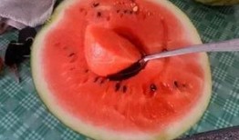 小七吃口瓜,揭秘瓜果中的营养与美味