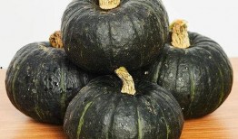 金丝贝贝瓜怎么吃,尽享夏日清新美味