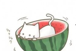 动漫互相吃瓜,一场跨越次元的吃瓜大作战