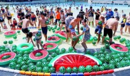 武汉玛雅吃瓜大赛,一场舌尖上的狂欢盛宴