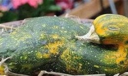 吃瓜是啥意思什么叫吃瓜,网络热词背后的文化现象