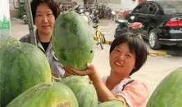 杭州小区吃瓜事件,邻里纠纷引发社会关注