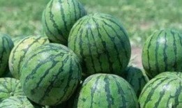 吃瓜很有料,揭秘娱乐圈幕后真相，这里有料！