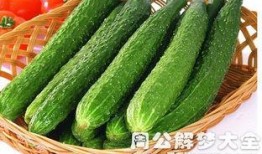 梦见别人给别人瓜吃,瓜分喜悦，共享人间的美好寓意