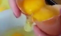 自动吃瓜机河南