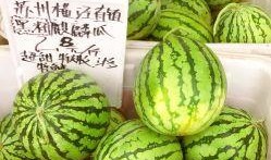 天天吃麒麟瓜好吗,健康生活每一天