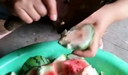 亲妈吃瓜视频大全,揭秘娱乐圈幕后故事