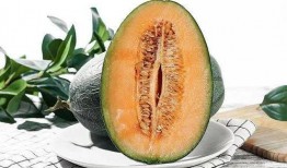 几月份可以吃瓜