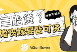 贷贷吃瓜,揭秘贷款市场的甜蜜陷阱与智慧选择