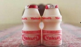 吃瓜养乐多视频,一场甜蜜的夏日美食之旅