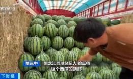 吃瓜自由店,揭秘网红美食背后的秘密