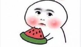 吃瓜网林清平,吃瓜网上的“瓜王”传奇