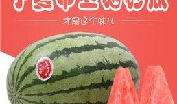 吃瓜品经典,揭秘娱乐圈背后的故事与真相