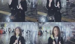 疯癫雨雨吃瓜,揭秘娱乐圈幕后真相