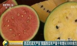 全球吃瓜事件,揭秘网络舆论的狂欢与反思