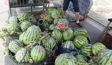 近期商场吃瓜事件,一地鸡毛背后的社会现象解析