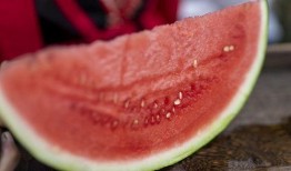 姨妈期吃瓜了,揭秘女性生理周期中的趣味现象