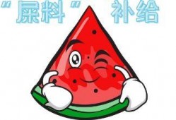 大型吃瓜现场文案,揭秘娱乐圈幕后风云