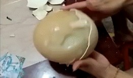 gif 男子吃瓜梳头,展现日常趣味瞬间