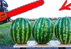 海外吃瓜节目,揭秘明星幕后故事与娱乐圈秘闻