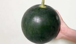 瓜主吃大瓜,探寻大瓜背后的故事与真相