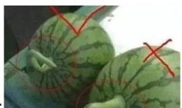 吃瓜本地宝,揭秘身边新鲜趣事，带你领略地方特色