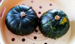 金丝贝贝瓜怎么吃,尽享夏日清新美味