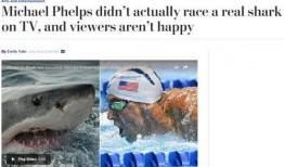 鲨鱼吃瓜网站,揭秘海洋霸主背后的趣味故事