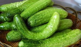 唐十八吃瓜5,揭秘宫廷秘闻，笑谈权谋风云