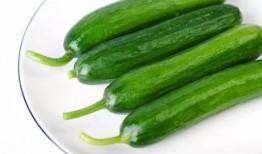 扡瓜埂怎么吃,解锁夏日清新美味