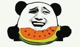 吃瓜是啥意思什么叫吃瓜,网络热词背后的文化现象