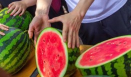 湖师大宿舍吃瓜,揭秘校园吃瓜背后的故事