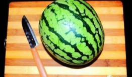 鲨鱼吃瓜网站,揭秘海洋霸主背后的趣味故事