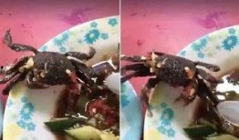 功德吃瓜视频,揭秘网络红人的幕后故事