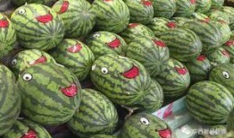 看花和吃瓜故事,一场别开生面的民间传说之旅