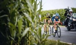 骑车吃瓜摔倒,安全骑行需警惕细节