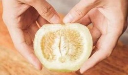 梦见吃瓜吐籽,揭秘吃瓜吐籽的神秘寓意