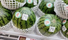 仙哥吃瓜,揭秘娱乐圈幕后故事