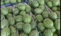 吃瓜观察线,揭秘娱乐圈幕后真相