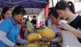 开心市民吃瓜群众,揭秘网络舆论场的众生相