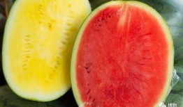 门派高质量吃瓜,门派高手们的“吃瓜”日常